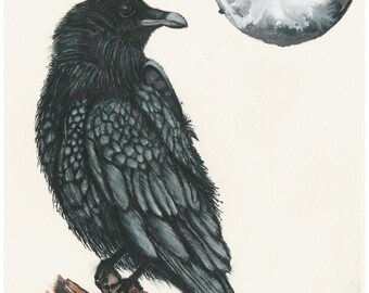 Moonlit Raven Ink Drawing, Stoic Bird Art