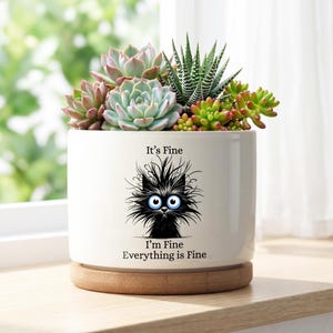 Funny Cat Succulent Planter, It’s Fine Meme Cat Pot, Funny Desk Decor, Ceramic Plant Pot, Cute Cat Lover Gift, Gift for Cat Moms, Friends