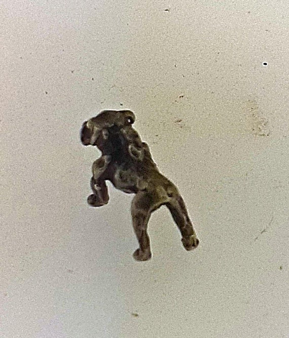 Vintage Sterling Silver Bulldog Charm Pendant - image 4