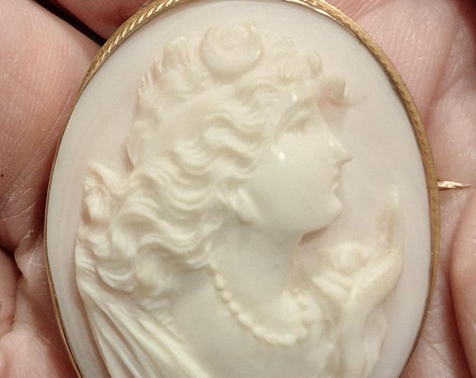 Lovely Detailed Conch Shell Cameo in a Gold Frame