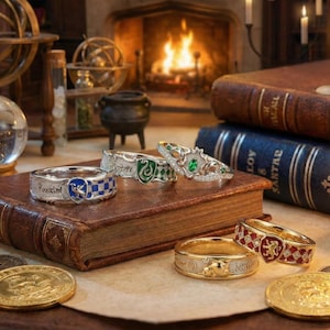 Può includere: Una collezione di anelli d'argento con vari disegni, tra cui stemmi e pietre preziose, esposta su un libro d'epoca. Gli anelli presentano dettagli intricati e sono ambientati sullo sfondo di libri e un camino.