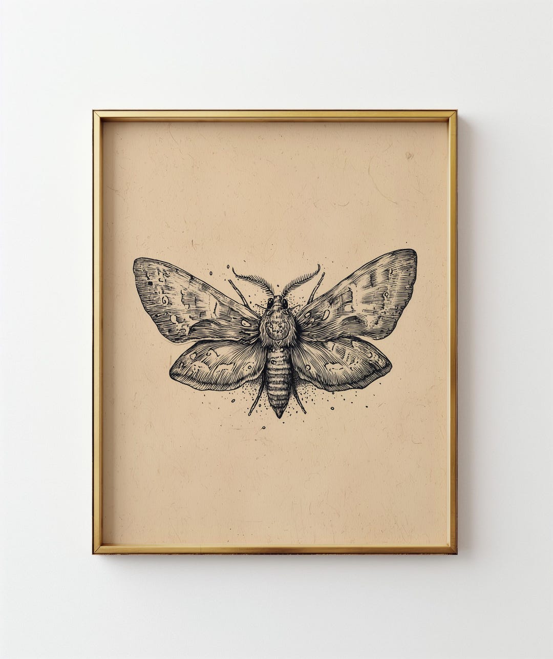 Vintage Moth Printable Wall Art - Moody Gothic Decor, Detailed Ink ...