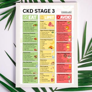 Pode incluir: Uma lista de alimentos emoldurada para o Estágio 3 da DRC, com seções para alimentos para comer, limitar e evitar. A lista inclui vegetais, frutas, proteínas, grãos, laticínios e bebidas.