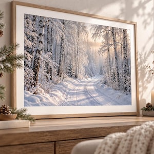Può includere: Una fotografia paesaggistica incorniciata che raffigura un sentiero forestale innevato fiancheggiato da betulle. La scena presenta neve bianca sul terreno e sui rami, con una soffice luce solare dorata che filtra tra gli alberi.