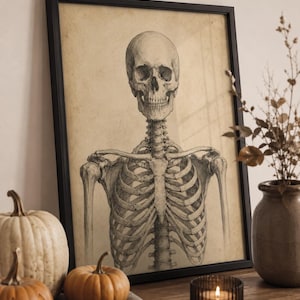 Könnte beinhalten: Ein gerahmter Wandkunstdruck mit einer detaillierten schwarz-weißen Bleistiftskizze eines menschlichen Skelettoberkörpers und Schädels. Das Kunstwerk ist auf einem beigefarbenen Papier im Vintage-Stil gedruckt und in einem schlichten schwarzen Rahmen.