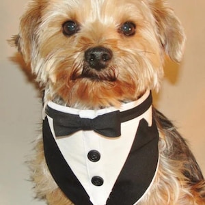 Dog Tuxedo Bandana Sewing Pattern: Pet Wedding Formal Wear (PDF Digital Download)