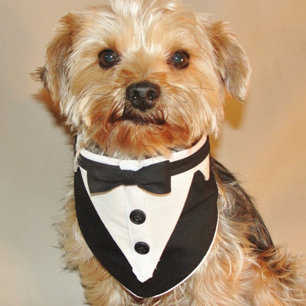 Sewing Pattern Fits 8"-10" Neck Size Small dog Pet Formal Wear Tuxedo Bandana Wedding PDF Digital Download Files Pattern and Tutorial