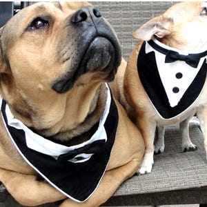 Dog Tuxedo Bandana Sewing Pattern: Pet Wedding Formal Wear (2X Large, PDF Pattern)