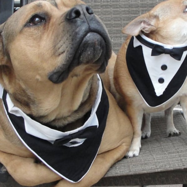 Naaipatroon 2X grote hond huisdier formele kleding past nekmaat 21" - 25" Tuxedo Bandana Wedding Patroon PDF digitale bestanden patroon en tutorials