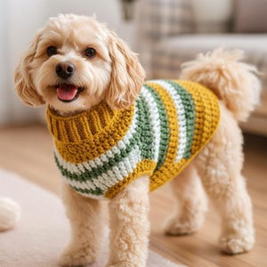 May include: A small, light-colored dog wearing a handmade crochet sweater. The sweater features horizontal stripes of yellow, green, and white. The dog is standing on a light-colored rug, with a blurred background.
