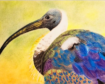Peinture originale au pastel d'un ibis, Décoration murale représentant un ibis sacré, Dessin d'oiseau encadré 21 x 30 cm, Décoration faune exotique, Cadeau pour les amoureux de la nature, Prêt à accrocher