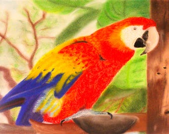 Dipinto originale a pastello di un pappagallo ara, quadro da parete con uccello tropicale, disegno di animale colorato incorniciato 32 x 41 cm, decorazione esotica della giungla, pronto per essere appeso