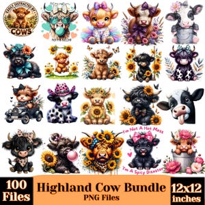 Op de afbeelding: Een digitale collectie van 100 Highland-koe illustraties met diverse ontwerpen, waaronder zonnebloemen, strikken, bloemenkransen en accessoires. De afbeelding bevat tekst zoals Easily Distracted By Cows, Not My Bullshit en I'm Not A Hot Mess I'm A Spicy Disaster.