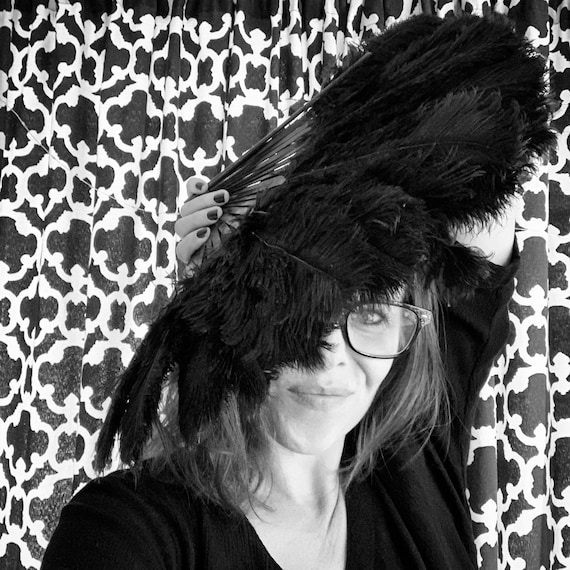 Vintage Black Ostrich Feather Fan