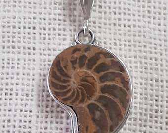 Sterling Silver and Brown Ammonite Pendant, Vintage Fossil Pendant Charm, Nautilus Shell Fossil