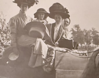 RPPC: Edwardian Women in Horse Drawn Wagon