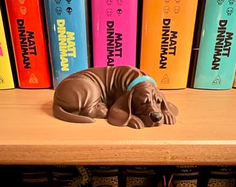 The Original Lightning Lou Bookshelf Buddy | Dungeon Crawler Carl