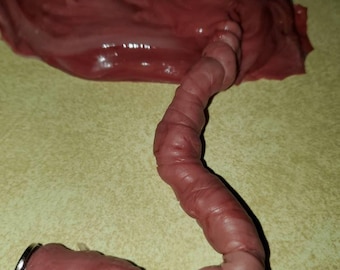 Silicone placenta and umbilical cord for silicone baby newborn baby size