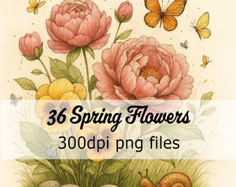36 PNG Flores caprichosas de primavera Clipart: Gráficos florales (Descarga digital) 300 DPI
