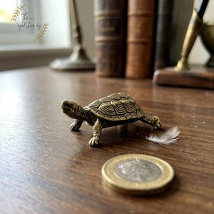 May include: A small, detailed bronze turtle figurine with a textured shell, positioned near a coin and a feather on a wooden surface. The figurine is approximately 1.5 inches long. The background includes antique books and a window.