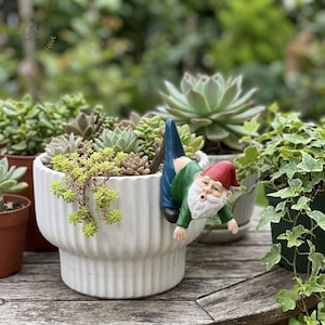 May include: A white ceramic planter with vertical ridges containing various green succulents. A small garden gnome figurine with a red hat, green shirt, and blue trousers is attached to the side of the planter, appearing to climb over the rim.