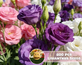 Mixed Color Lisianthus Seeds | Long Lasting Blooms, Easy Grow Flowers