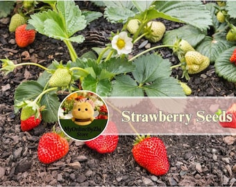 200pcs Strawberry Seeds, Sweet Fruit Seeds, Easy to Grow for Home Garden, Patio, Containers & Beginners
