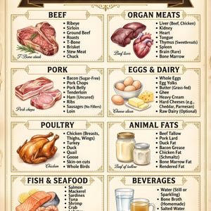 Op de afbeelding: Een infographic in vintage-stijl met de titel "Carnivore Diet" geeft verschillende voedselcategorieën weer. De categorieën omvatten rundvlees, orgaanvlees, varkensvlees, eieren en zuivel, gevogelte, dierlijke vetten, vis en zeevruchten en dranken.