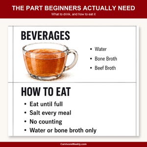 Carnivore diet chart close up of the beverages list and the four how to eat rules for beginners.