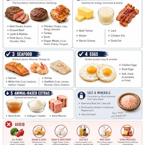 Carnivore Diet Starter Bundle | Cheat Sheet, How-To Guide & 14-Day Tracker (PDF) image 2