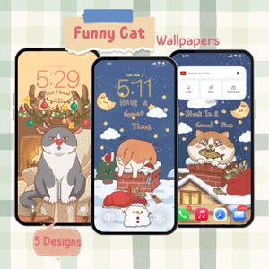 Funny Cat Phone Wallpaper Pack, Orange Cat Lock Screen, Derp Cat Background, Cute Home Screen, iOS Android, 5 Designs
