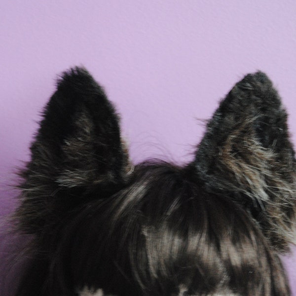 dark brown wolf ears