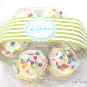 3CLeaR Round EGG Boxesfill with mini cupcakes,easter eggs, cookies, fruit, hold cake balls,truffles or peepss-3ct image 1