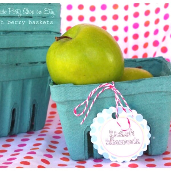 12 FARM FRESH BERRY Baskets-Party Favors-Weddings-Showers--Add Cookies, Cupcakes, Fruit or Gifts-