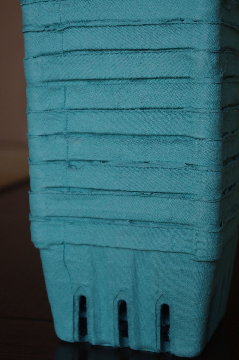 6 FARM FRESH BERRY Baskets With Clear Lidsparty Etsy