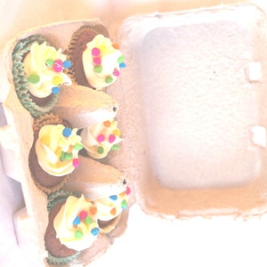 Egg CaRToN-empty GReY 6egg size-fill with mini cupcakes,easter eggs, cookies, fruit, hold cakepops or peep pops-3ct image 3