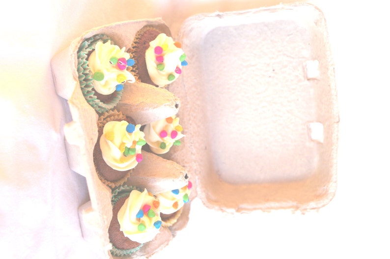 Egg CaRToN-empty GReY 6egg size-fill with mini cupcakes,easter eggs, cookies, fruit, hold cakepops or peep pops-3ct image 3