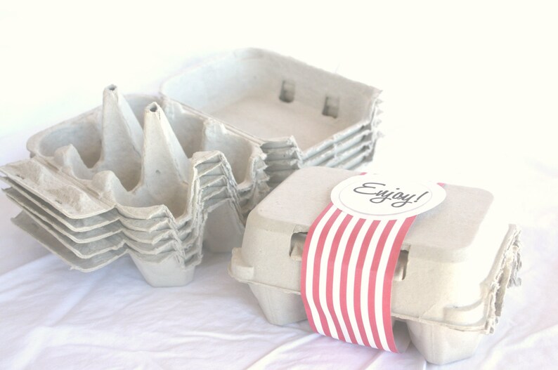 Egg CaRToN-empty GReY 6egg size-fill with mini cupcakes,easter eggs, cookies, fruit, hold cakepops or peep pops-3ct image 5