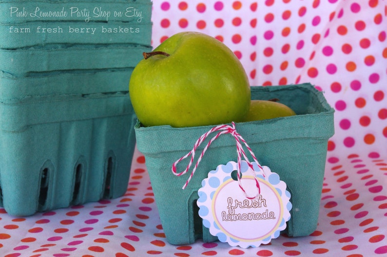 6 FARM FRESH BERRY Baskets With Clear Lidsparty Etsy