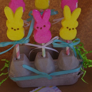 Egg CaRToN-empty GReY 6egg size-fill with mini cupcakes,easter eggs, cookies, fruit, hold cakepops or peep pops-3ct image 4