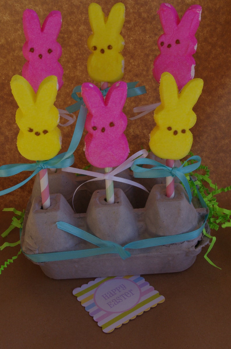 Egg CaRToN-empty GReY 6egg size-fill with mini cupcakes,easter eggs, cookies, fruit, hold cakepops or peep pops-3ct image 4