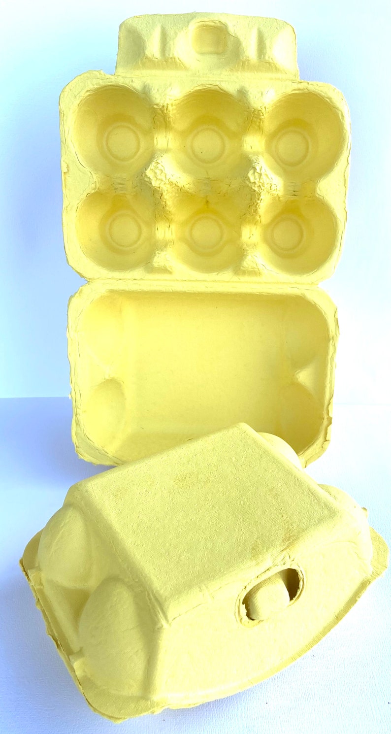 Paper Pulp Egg Carton 6 Egg Size Set of 4 Cartons Etsy UK
