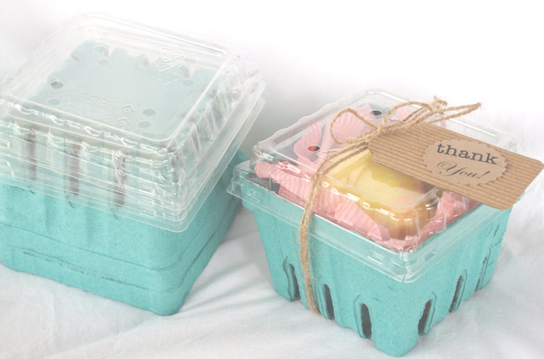 6 FARM FRESH BERRY Baskets With Clear Lidsparty Etsy