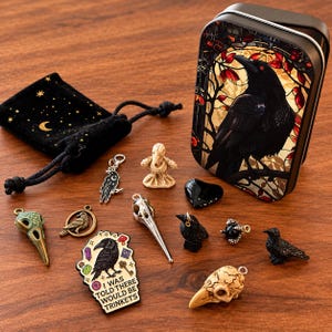 May include: A black velvet drawstring pouch with gold stars and moon, a metal tin featuring a black raven, and various trinkets including a bird skull pendant, a raven enamel pin with the text I WAS TOLD THERE WOULD BE TRINKETS, and small bird figurines.