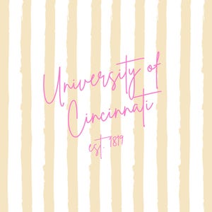 Decoración de pared de la Universidad de Cincinnati / Rosa y amarillo