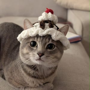 May include: A grey tabby cat wearing a crocheted hat shaped like a sundae. The hat features a white ruffled base, brown yarn accents representing chocolate syrup, and a small red pom-pom on top to resemble a cherry, all crafted from yarn.