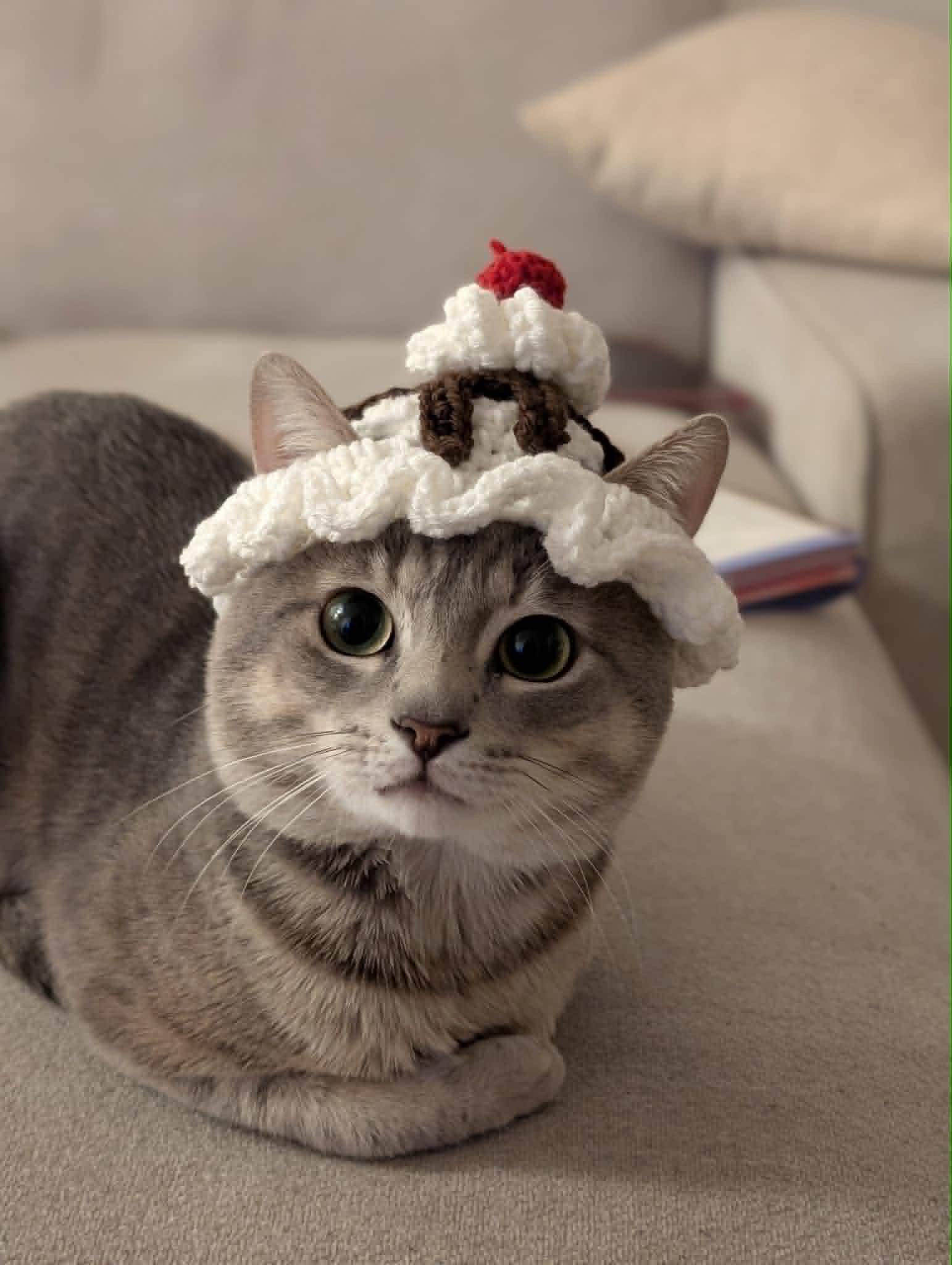 Ice Cream Cat Hat Pattern