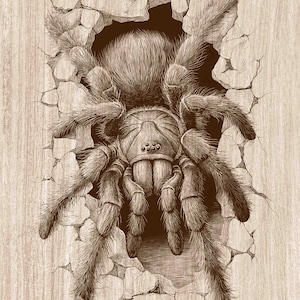 Tarantula Wood Engraving PNG, 3D Spider Wall Crack Art, Gothic Creepy Decor, Arachnid Illustration, Oddities Laser Engraving & CNC File