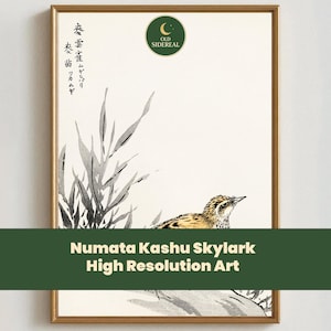 May include: Framed art print featuring a Japanese-style illustration of a skylark bird and tall grass. The artwork is in shades of brown, gray, and white, with Japanese text in the upper left corner. The text "Numata Kashu Skylark High Resolution Art" is displayed.