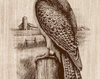Hawk Wood Engraving PNG, Bird of Prey Wall Art, Farm Wildlife Cabin Decor, Rustic Raptor Laser Engraving & CNC File (Digital Download)